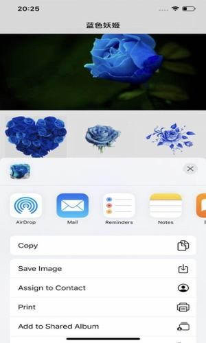 蓝色妖姬贴图软件安卓版下载安装