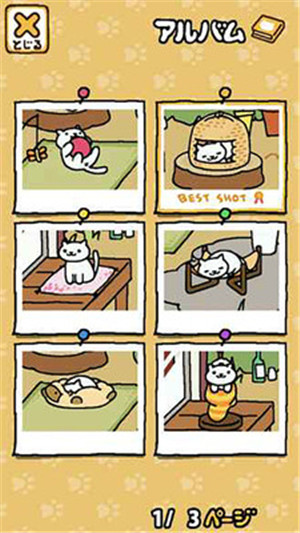 猫咪后院中文版游戏下载