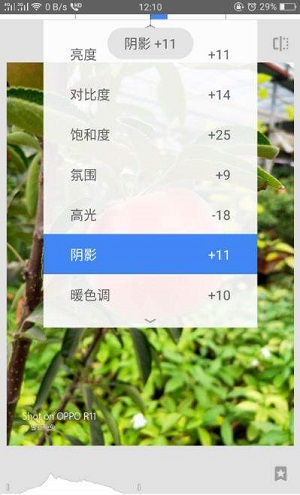 Snapseed中文版最新版本截图